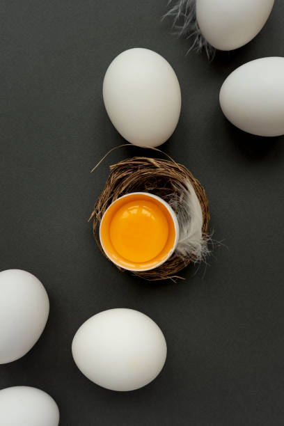 istock White eggs and egg yolk into nest on dark background. Top view. Flat lay. Easter celebration 1309917201