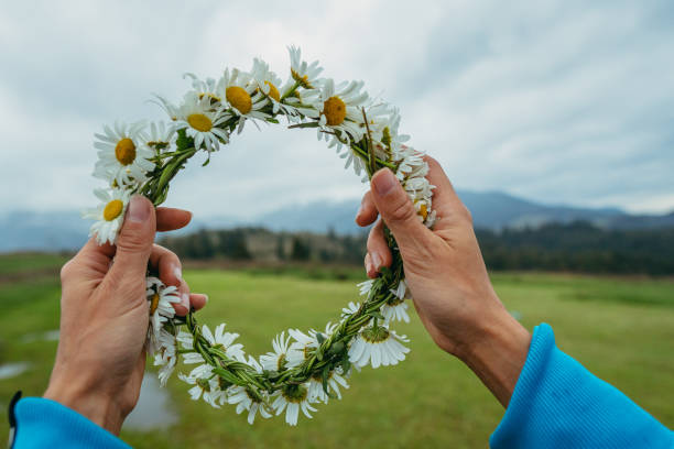 istock Chamomile. Chamomile wreath on a background of mountains. 1309917590
