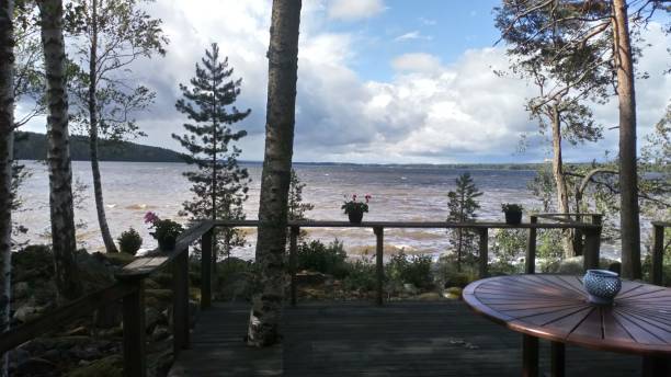 istock Stormy day on the lake 1309919802
