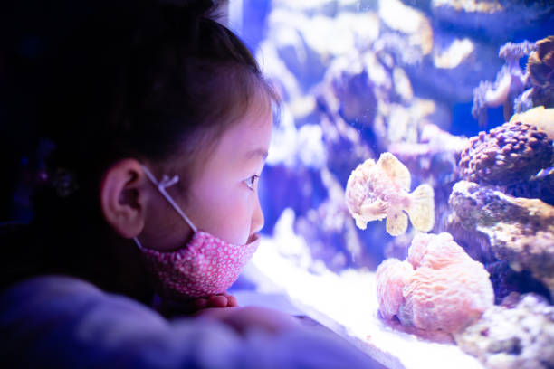 istock A child wearing a mask and looking at the aquarium 1309921133