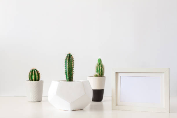 istock Desk on a white empty wall background with three cactuses in a geometric pot and a frame mockup. 1309921600