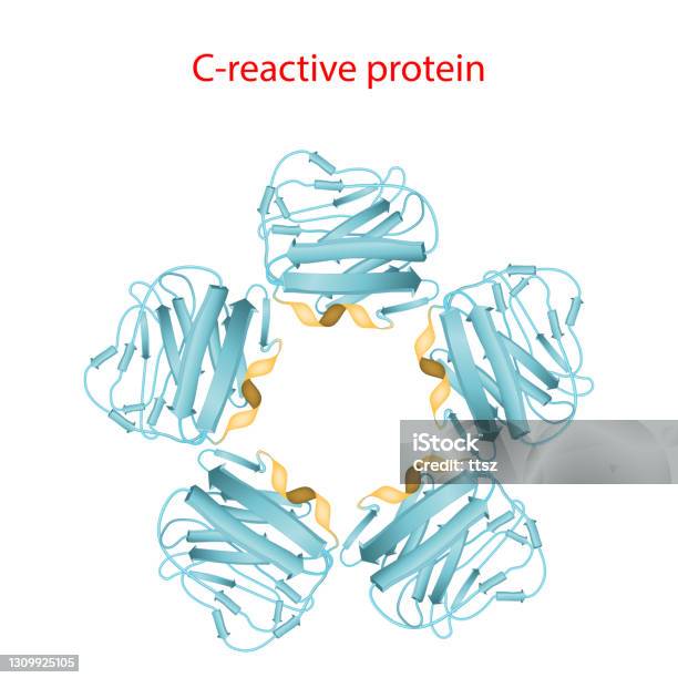 Creactive Protein Stock Illustration - Download Image Now - Protein, Letter C, Biomarker