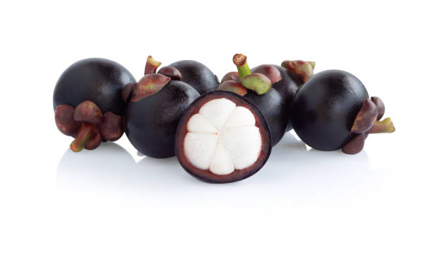istock Fresh mangosteen fruit isolated on white background 1309925631