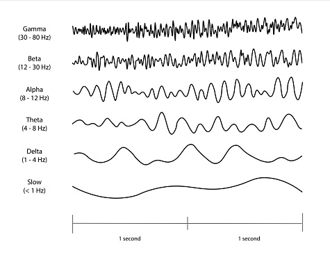 Eeg Spectrum Patterns Eeg Waveforms Stock Illustration - Download Image Now - Brain Wave, EEG ...