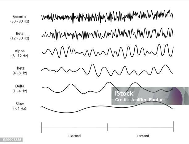 Eeg Wave Form Ranges Eeg Waveforms Stock Illustration - Download Image Now - Brain Wave, EEG ...