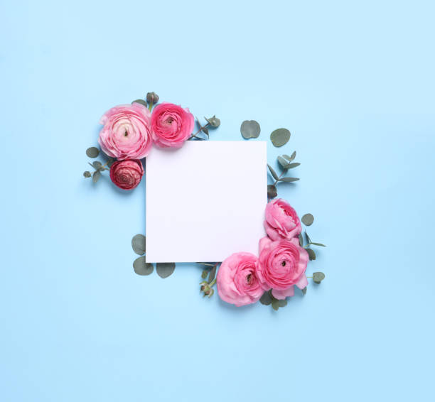 istock Beautiful ranunculus flowers and paper card on light blue background, flat lay. Space for text 1309928192