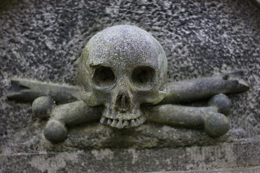 Scary and creepy skull and bones decoration on the ground
