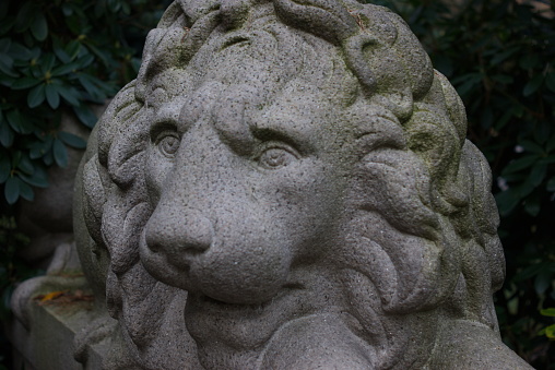 The head of a lion made of stone