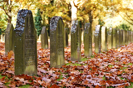 World War I Soldiers' Graves in Series in Autumn