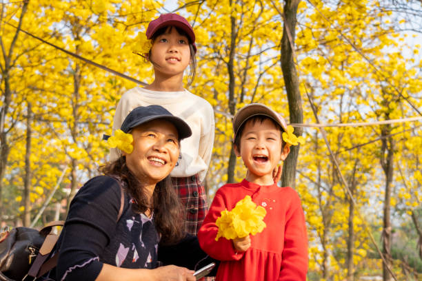 istock An Asian grandma playing with her granddaughters at a park in spring 1309932087