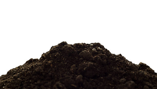 istock handful of earth on an isolated white background. Selective focus 1309933360