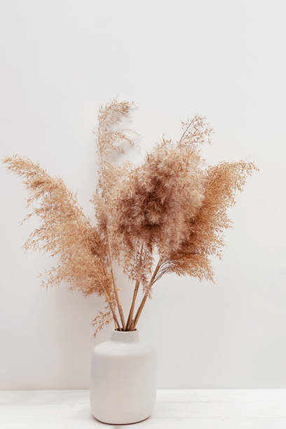 istock Pampas grass in a vase near white wall. 1309935664