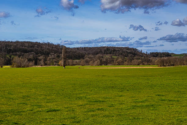 istock A dramatic sky in Spring above the hills with the typical Tuscany Cypress trees in south Limburg in the Netherlands, makes you feel in Italy 1309935678