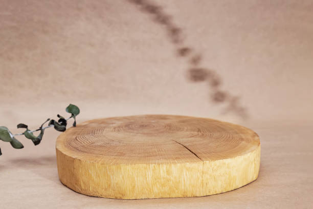 istock Wooden saw cut podium background and eucalyptus branch 1309935687