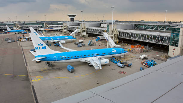 Parked airplanes on Amsterdam Airport Schiphol Terminal and a row of parked airplanes on Amsterdam Airport Schiphol under a gloomy sky. In front a Boeing 737 of KLM Royal Dutch Airlines Air France. klm stock pictures, royalty-free photos & images