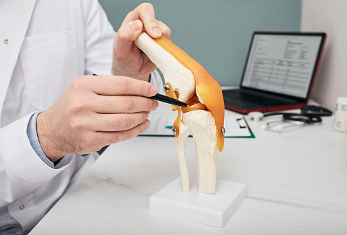 Traumatólogo apuntando pluma a menisco en un modelo de enseñanza anatómica rodilla-articulación, primer plano. Concepto de tratamiento de menisco desgarrado por humanos photo