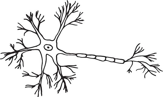Neuron hand drawn vector doodle illustration. Cartoon element. Isolated on white background. Hand drawn simple element
