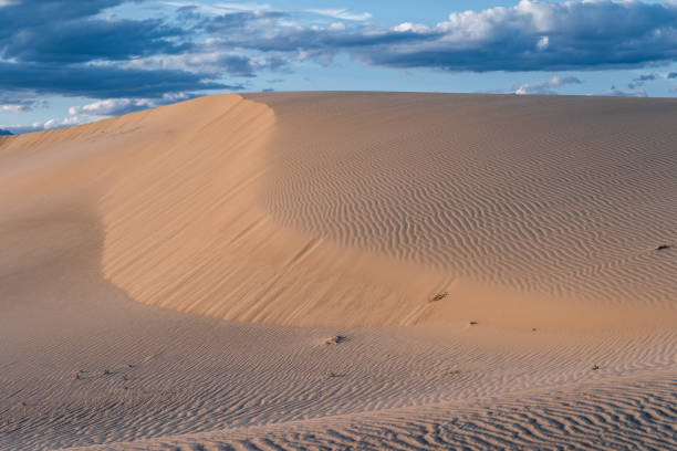 istock Great Sand Dunes National Park 1309941705