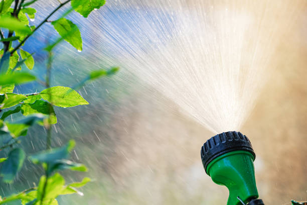 istock Lawn sprinkler spaying water closeup 1309941970