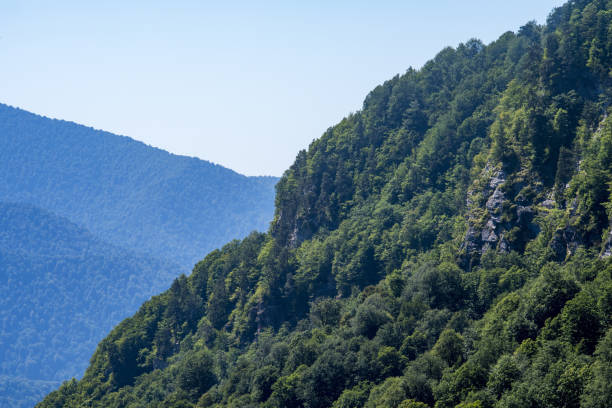 istock Beautiful mountain landscape 1309943664