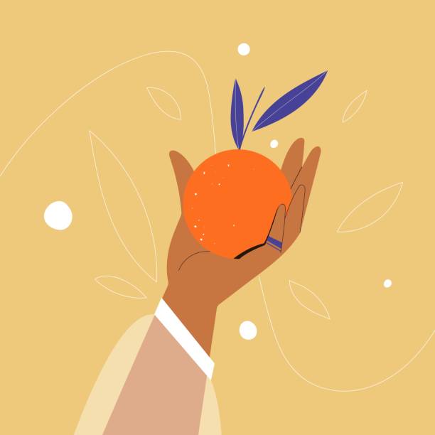 istock Hand of a woman holding orange fruit with leaves. Vector Illustration 1309944758