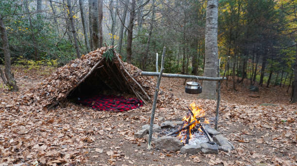 Survival Shelter Debris hut in the wilderness. Bushcraft camp setup in the forest. stock photo