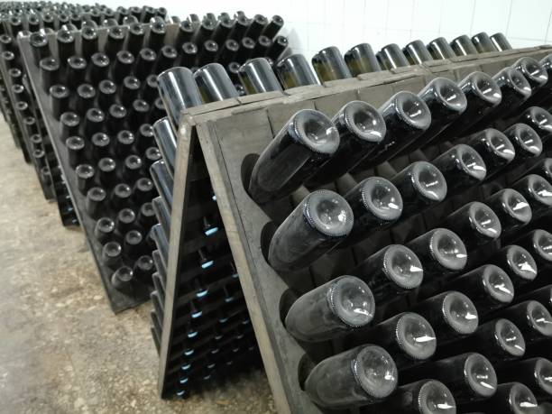 istock Champagne bottle production in winery cellar 1309946324
