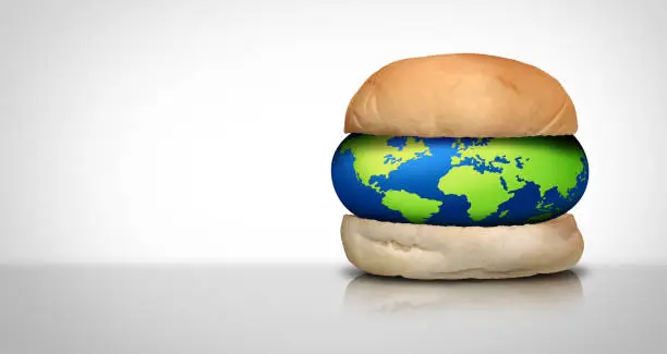 Photo of Hamburger Bun