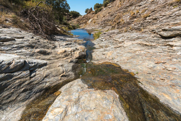istock Water flowing down a ravine in Sierra Nevada 1309947718