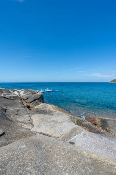 istock Holiday Photo 1309949691