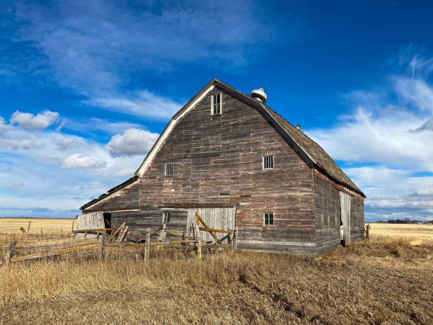 istock Grand old majestic Livestock Barn in all it's glory 1309951269