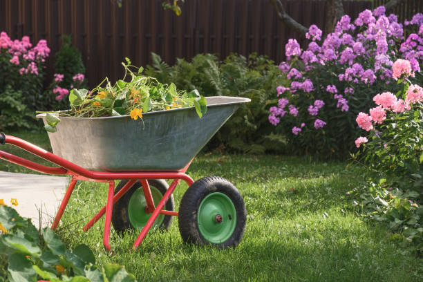 istock Wheelbarrow full of humus and compost on yard. 1309952470