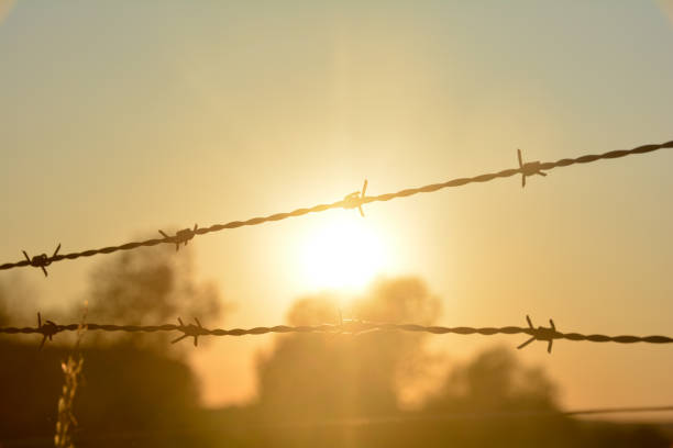 istock Barbed wire fence at sunset with sun 1309957924