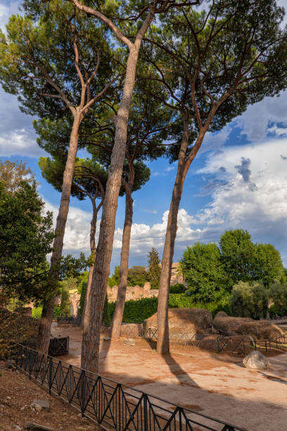istock Alley On Palatine Hill In Rome 1309960248