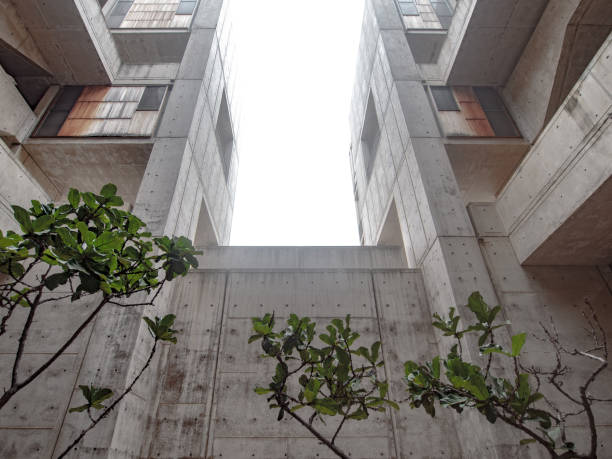 istock multi story modern building with a plant 1309960249