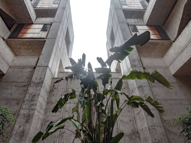 istock multi story modern building with a plant 1309960297