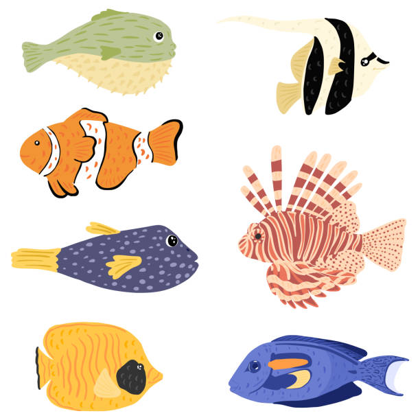 set rifffische isoliert auf weißem hintergrund. verschiedene fische: kugelfisch, löwenfisch, moorige idol, clown, chirurg, schmetterling. - tropical fish clown fish isolated animal stock-grafiken, -clipart, -cartoons und -symbole