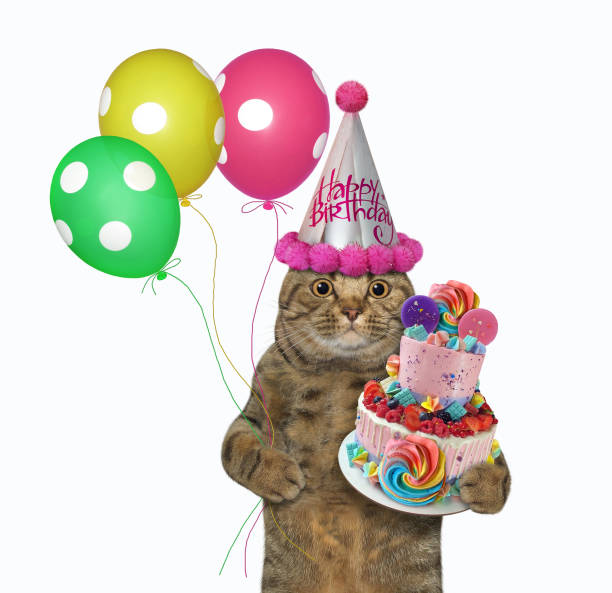 istock Cat in hat celebrates birthday 2 1309961089