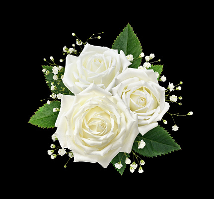 White freesia flowers and buds in a floral arrangement isolated on white. Top view.
