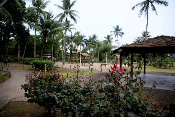 istock city park in mata de sao joao 1309966408