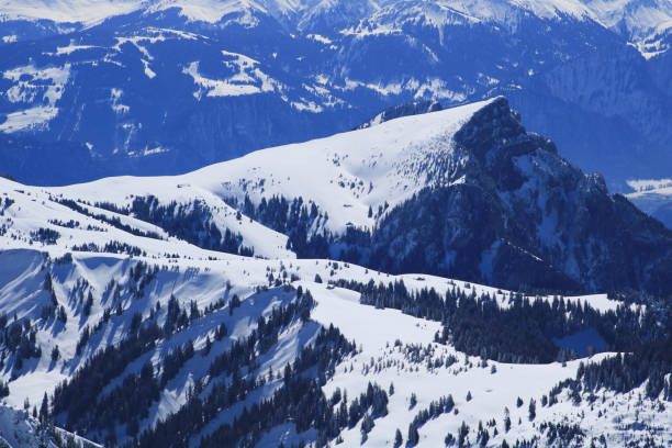 istock Gonzen, mountain near Sargans. 1309967732