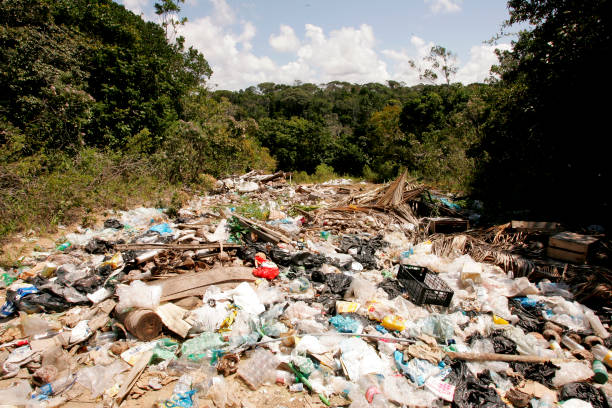 istock garbage disposal in southern bahia 1309967798