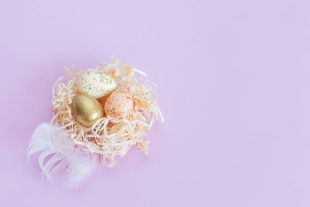 istock Easter background with eggs in a nest and white feather. Pastel colors. 1309971704
