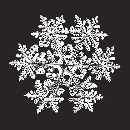 White snowflake isolated on black background. Vector illustration based on macro photo of real snow crystal: large stellar dendrite with hexagonal symmetry, complex ornate shape and six elegant arms.