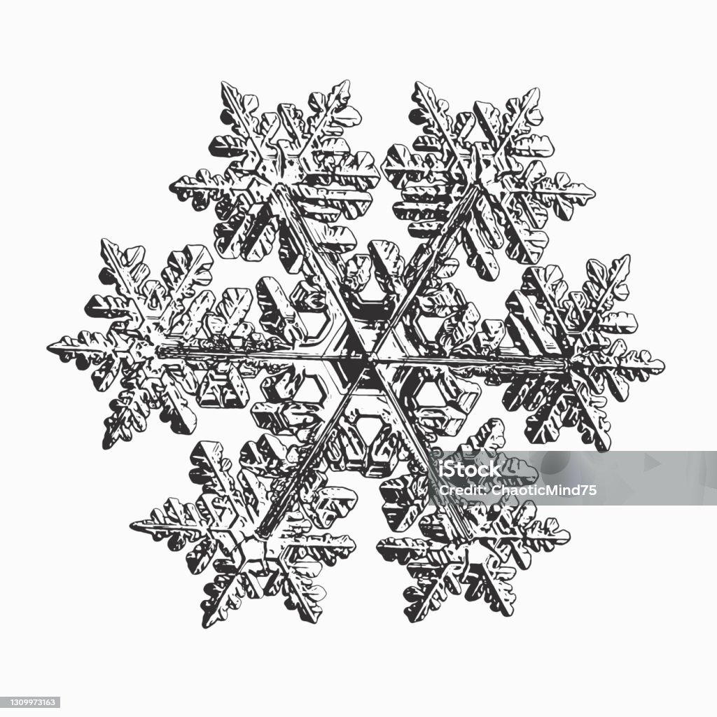 Real snowflake on white background Snowflake isolated on white background. Vector illustration based on real snow crystal at high magnification: elegant stellar dendrite with flat, ornate arms, complex structure and glossy surface. Snowflake Shape stock vector