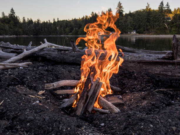 istock a bright, lakeside campfire at dusk, perfect for roasting smores 1309975488
