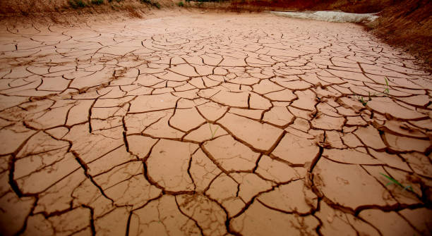 dry place where a lake used to work