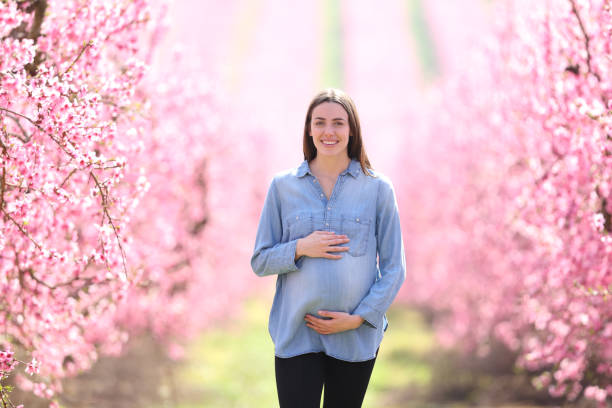 pregnant woman walking in a field looking at you - nature human pregnancy color image photography imagens e fotografias de stock