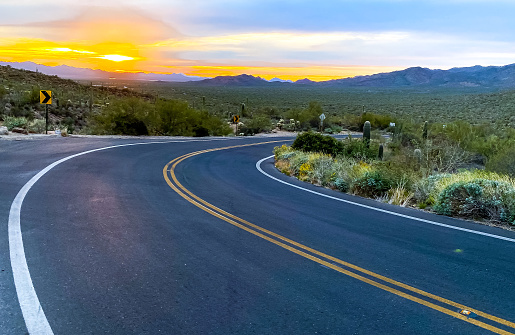 An empty road in Arizona’s Sonoran Desert
