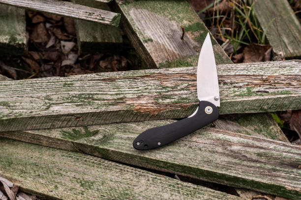 istock Folding pocket knife. A knife for everyday use. Outdoor knife. 1309980443